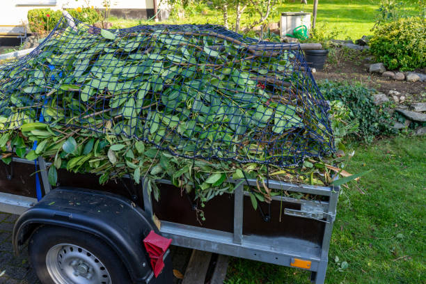 Best Shed Removal  in Finderne, NJ